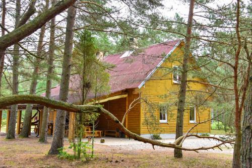 Liepene Otro | Kempings Videnieki