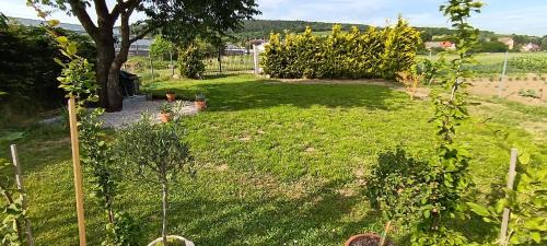 Dechtice Otro | Kempovacie miesto v Starej Záhrade - Camping site
