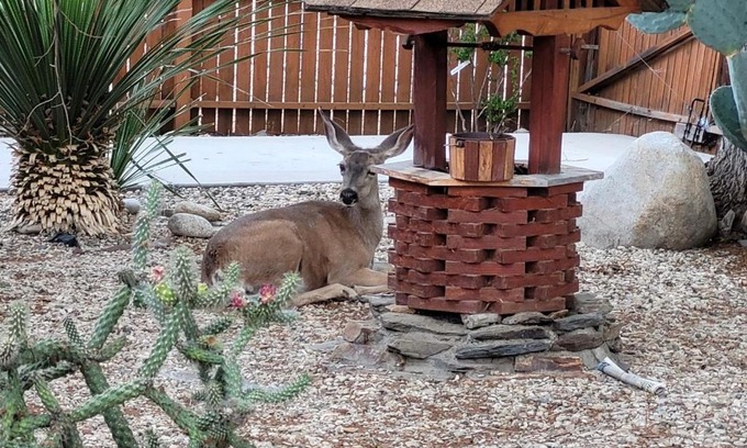 Kernville Casa | Kernville - walk to River Kern & Downtown