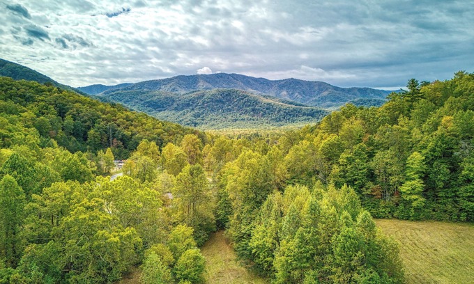 Cosby Cabaña | Kerri's Cottage, Pickleball Court, Creek, WIFI, Mountain Views, No Cleaning Fee