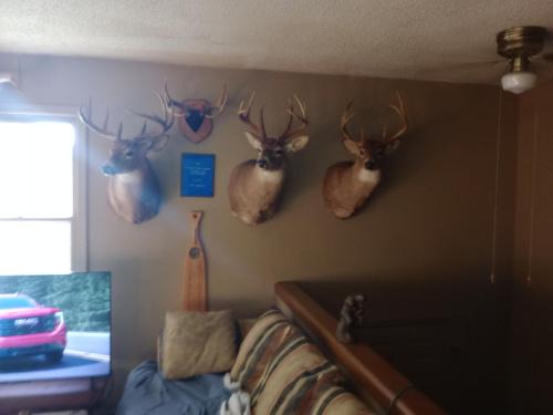 Holland Apartamento | Kevins spare bedroom