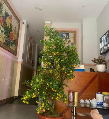 District 1 Hotel | Khách sạn Ánh Nguyệt 1