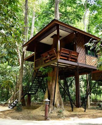 Khlong Sok Complejo | Khao Sok Nature Resort