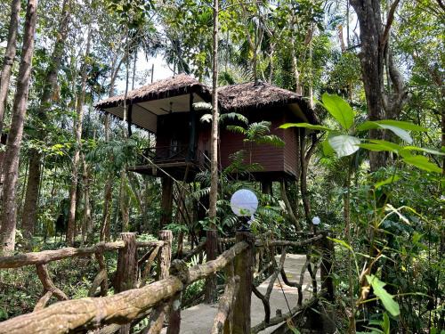 Khlong Sok Complejo | Khao Sok Paradise Resort