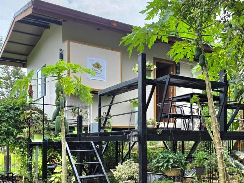 Khlong Sok Casa | Khaosok Impress
