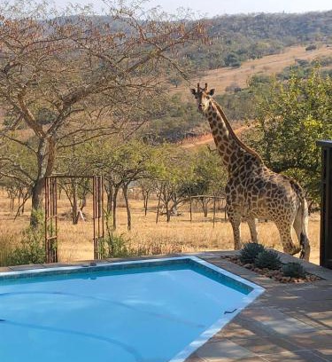 White River Cabina | Khululeka Safaris Lodge