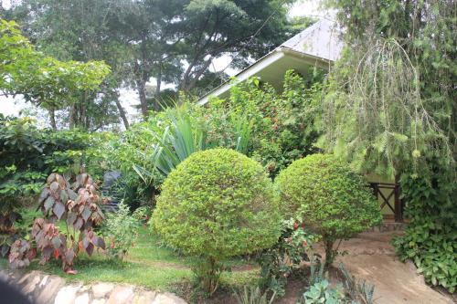 Kibale Cama Y Desayuno | Kibale Eco-Home