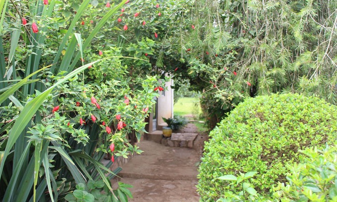 Kibale Cama Y Desayuno | Kibale Eco Home