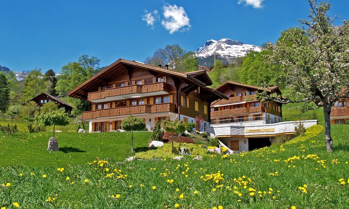 Grindelwald Apartamento | Kids-friendly ground-floor apartment on the sunny side of Grindelwald
