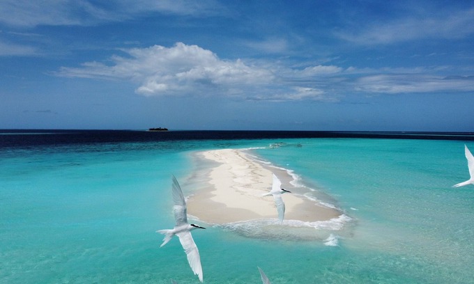 Baa Atoll Casa | Kihaa Holiday Home