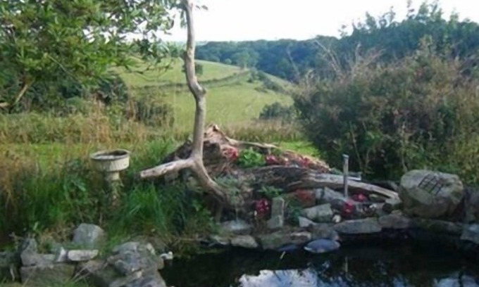 Tavistock Cama Y Desayuno | Kilworthy Farm Guesthouse