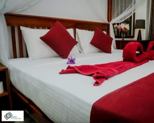 Matara Cama Y Desayuno | King's Marine B&B Surf Hotel