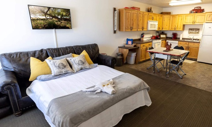 Mount Pleasant Apartamento | 🤠king studio w/Q sleeper+kitchen+washer/dryer+250mbps wi-fi🥾(15mi)maple canyon