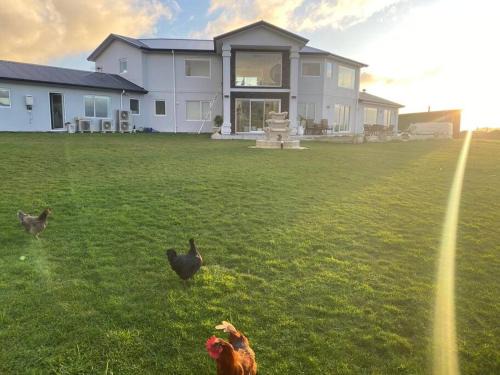 Aokautere Apartamento | Kingsdale lounge