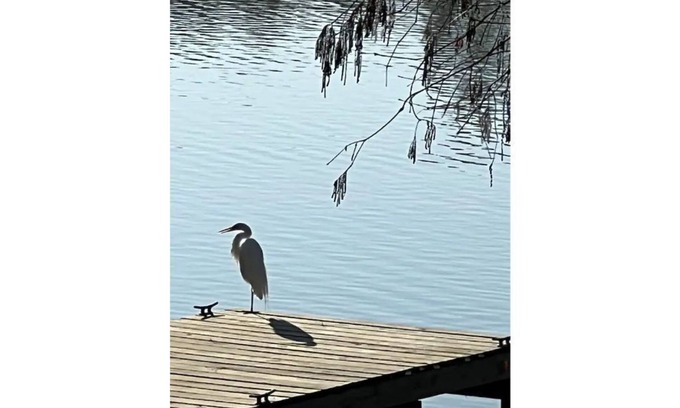 Kingwood Cabaña | Kingwood Cove Cottage - 10 mins from IAH - Water Front