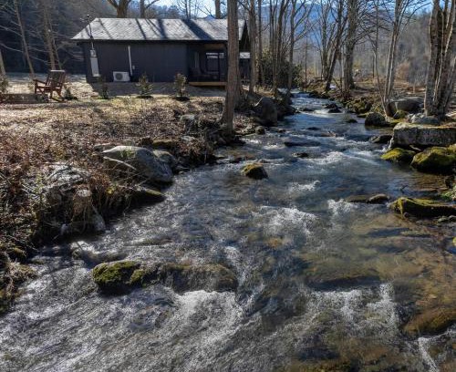 Cosby Casa | Kitt's Cottage, Pickleball Court, Creek, WIFI, Mountain Views, Starting at 79"