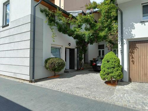 Muszyna Apartamento | KIWI Apartament