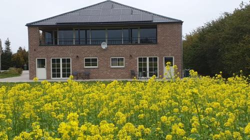 Hulst Apartamento | Klein Cambron