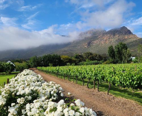 Montagu Casa | Klein Nektar Wine & Olive Estate