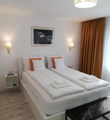Sfantu Gheorghe Apartamento | KM Art Apartman