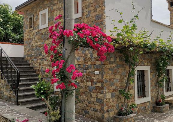 Koper Casa | Kmetija Jogan, Wines & Apartments