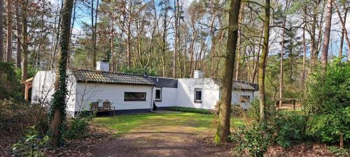 Lochem Casa | Knabbel en Babbel