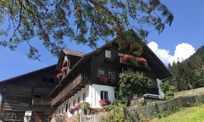 Ramsau am Dachstein Apartamento | Knaushof by Interhome