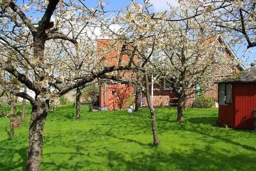 Gruenerdeich Apartamento | Knubberhaus Das Ferienhaus im Kirs