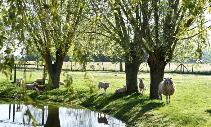 Stavele Casa | Knus Landelijk Verblijf!