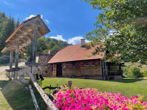 Bajina Basta Casa | Konak Mandica avlija
