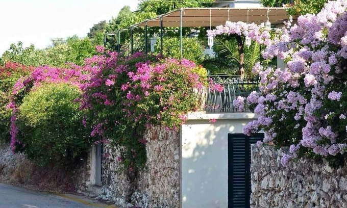 Aetos Casa | Konstantinas House, a touch of nature & sea