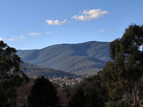 Healesville Casa | Kookaburra Cottage- views, wineries, sanctuary,