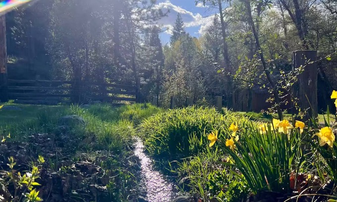 Callahan Cabaña | Koozee Farm
