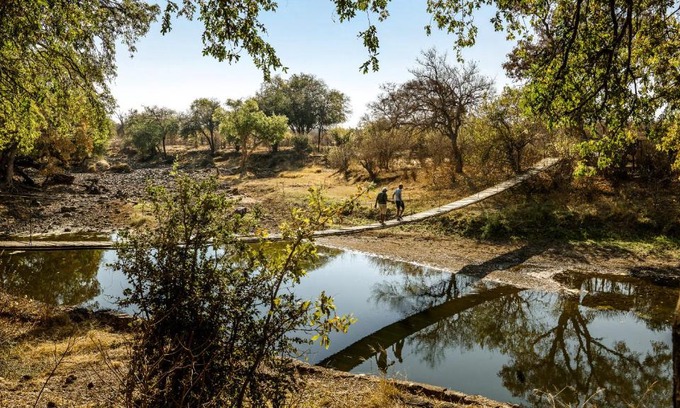 Mashatu Game Reserve Otro | Koro Island Camp