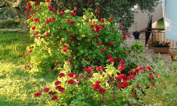 Pylos-Nestoras Casa | Koroni Village