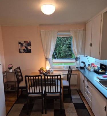 Vennesla Apartamento | Koselig to roms leilighet
