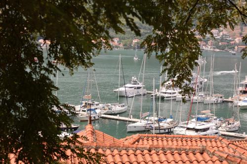 Kotor Old Town Apartamento | Kotor Lovers