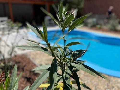 Kunfeherto Casa | Kovács Apartman Kunfehértó