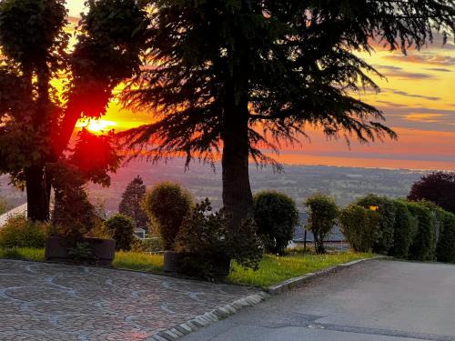 Dornbirn Apartamento | Kraft tanken in grüner Oase mit großem Wohnraum und riesigem Garten