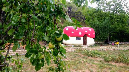 Skradin Apartamento | Krka fairytale village