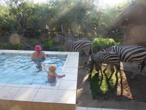 Marloth Park Casa | Kruger Cottage
