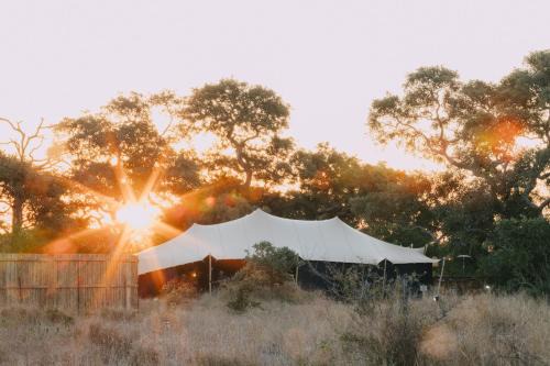 Kruger National Park Otro | Kruger Untamed - Satara Plains Camp