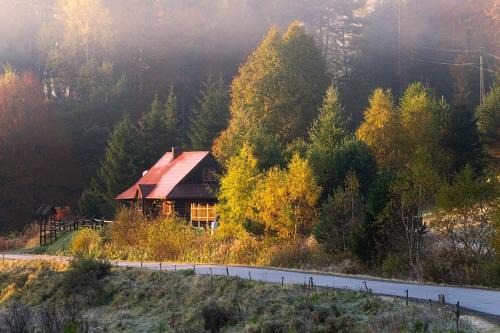 Regietow Casa | Krzywa 19