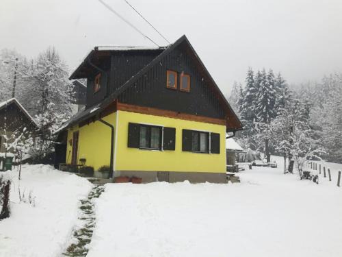 Plesce Chalet De Esquí | Kuća za odmor Forest Dream u blizini rijeke Kupe