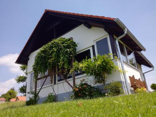 Selnica Casa | Kuća za odmor ,Oletić 2"