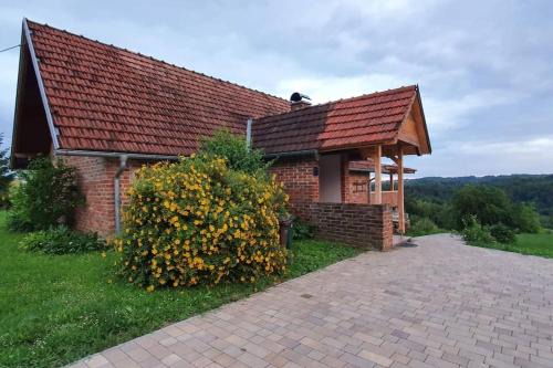 Selnica Casa | Kućica na brijegu