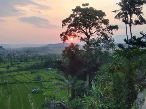 Ababi Casa | Kubu carik homestay