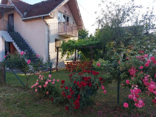 Pozega Casa | Kuca - STUDIO