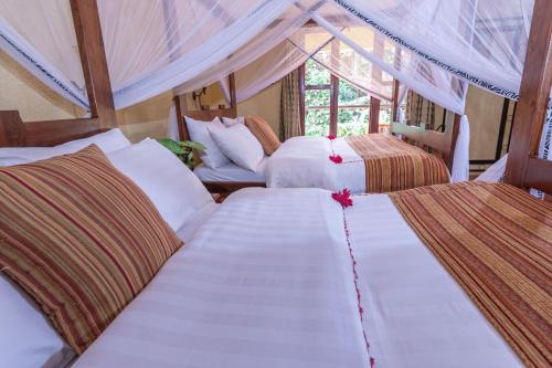 Karatu Otro | KUDU LODGE & CAMPSITE