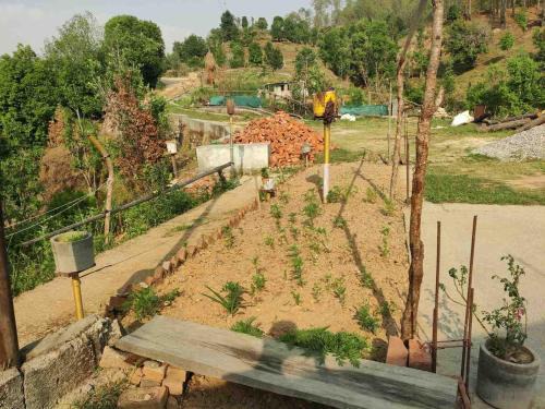 Champawat Casa | Kurma cottage